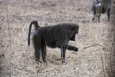 DSC_4042 (Large).JPG